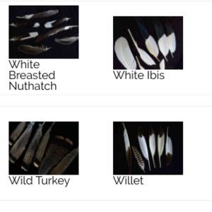 Meet your Posher, Josie